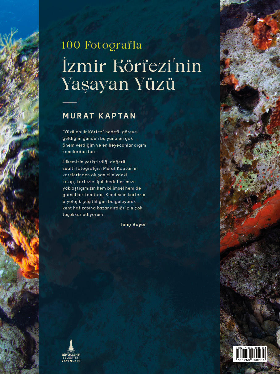 kitap