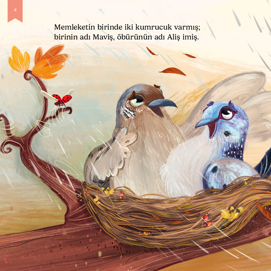 kitap