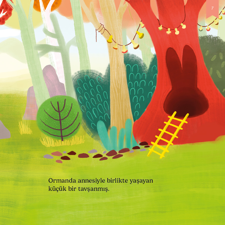 kitap