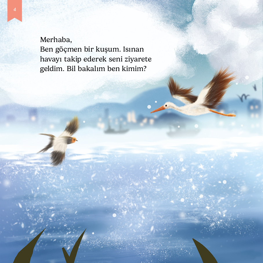 kitap