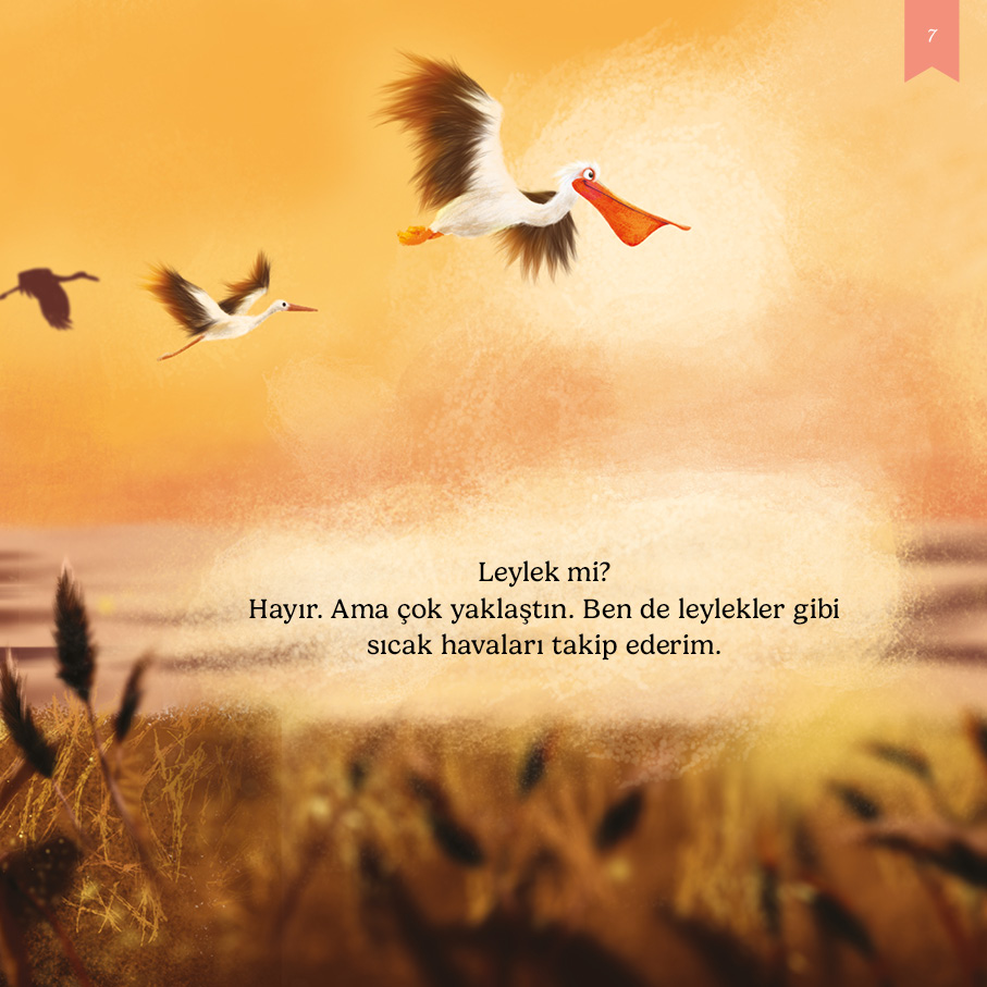 kitap