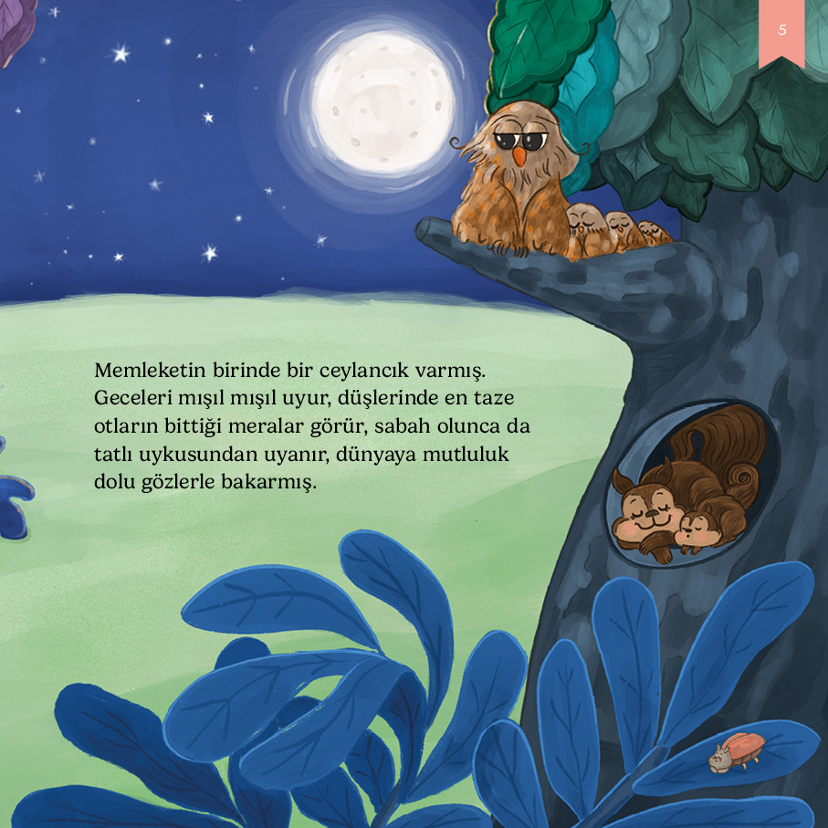 kitap