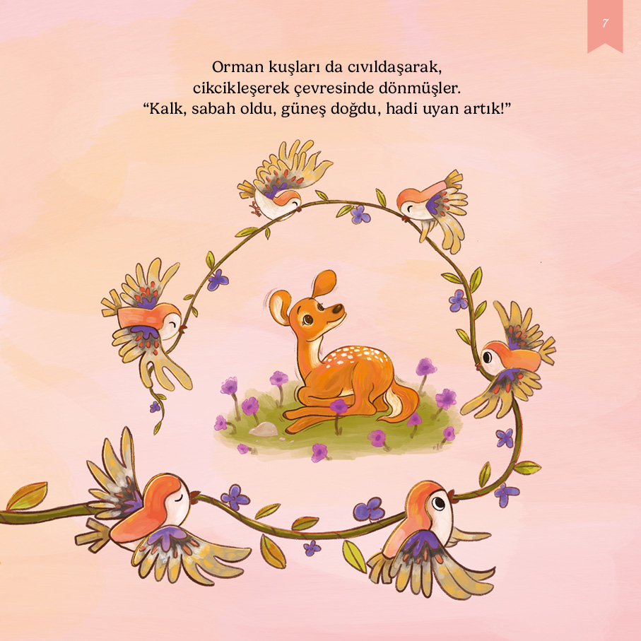 kitap
