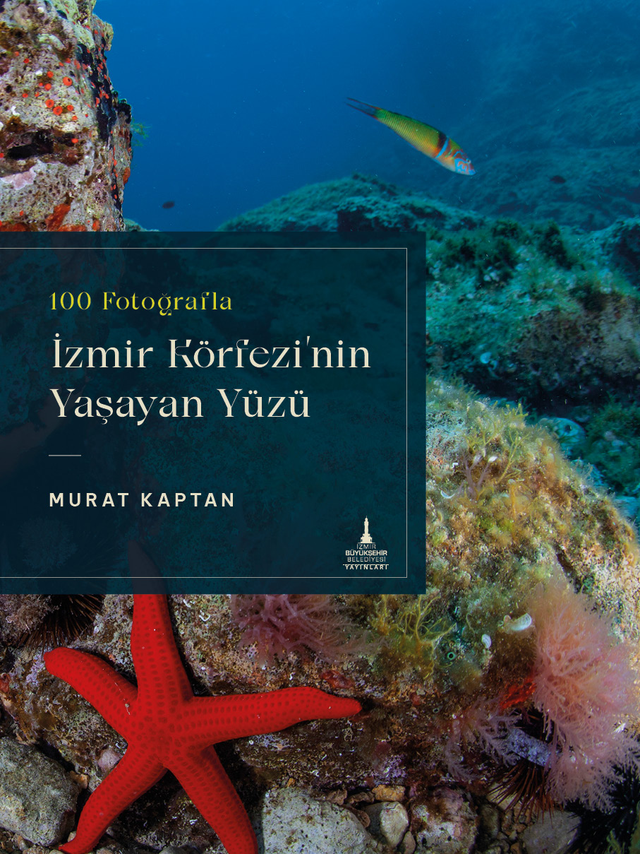 İzmir Körfezinin Yaşayan Yüzü